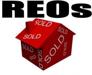 Real Estate Investing with REO